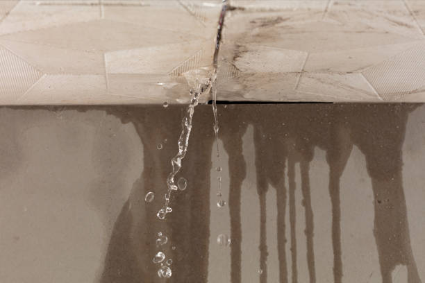 Professional Burst Pipe Cleanup technician working in Gambrills, MD